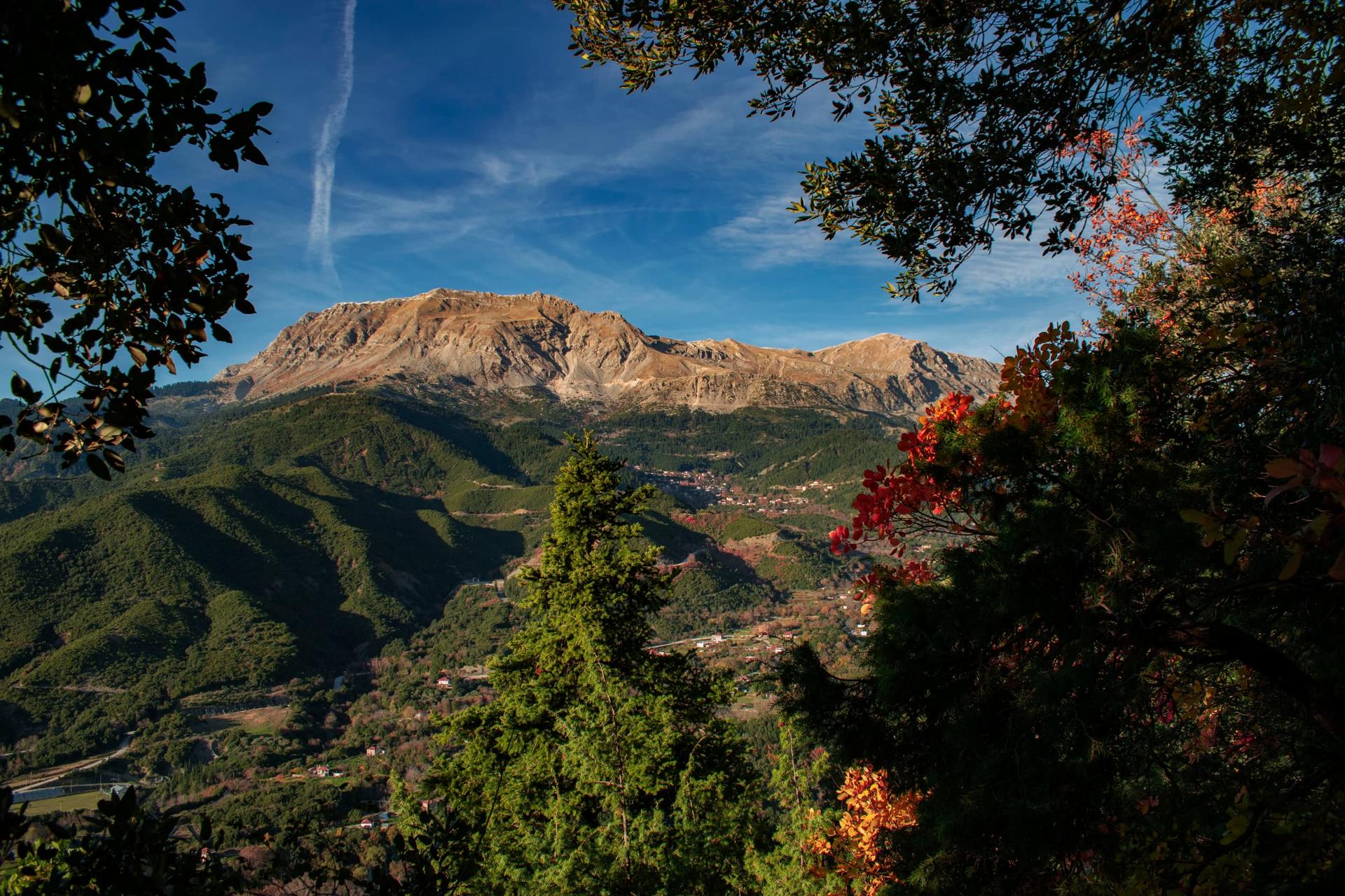 Mountain ridge and rural settlement framed by trees in Central Tzoumerka