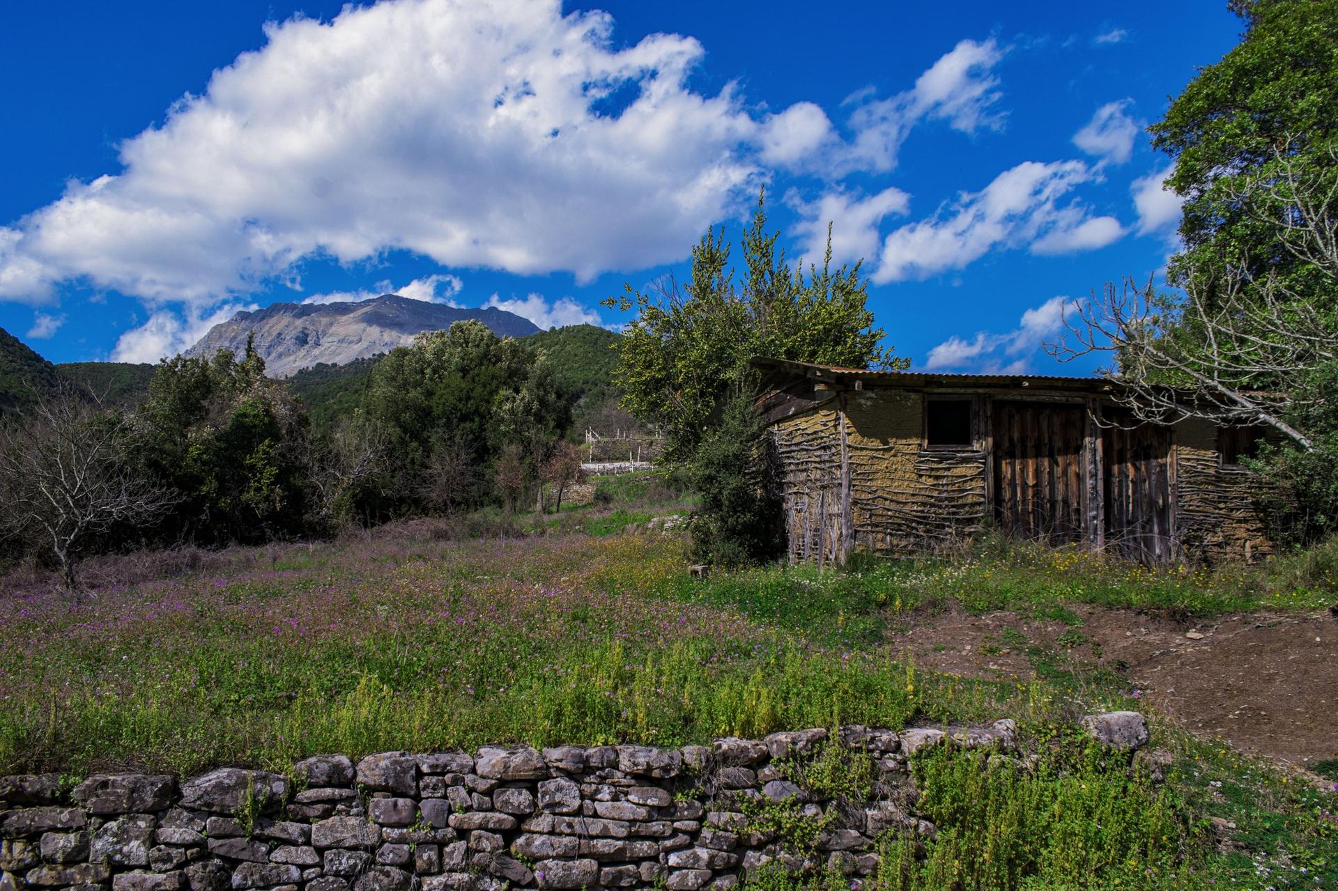 Old rural outbuilding, stone wall and mountain landscape near Olivestone